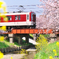 春色列車