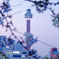 蒼い春
