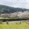 お散歩　in　明日香村