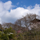 お散歩　in　明日香村