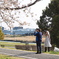 SAKURA Beautiful