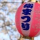 桜まつり
