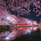 夜桜鏡