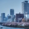 大阪の春