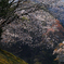 春山