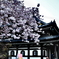 長谷寺③