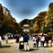 鶴岡八幡宮