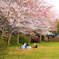 桜の木の下で