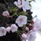 A3752C83-09E7-4B1D-B18D-17555AF77D5F