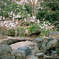 鶴舞公園のエモいやつ