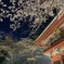 甘引観音 夜桜2