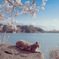袖ヶ浦公園のネコ