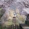 春の鉄路