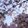 DSC_0896_00001