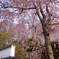 岡寺02