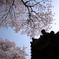 岡寺03