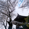 飛鳥寺01