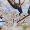 55F1F852-C2C6-4FD4-BE4A-DC821A57C175
