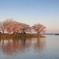 朝日に浮かぶ
