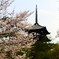 興福寺の五重塔
