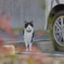 どちらさまで？