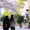 入学式前の親子