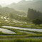 大山千枚田