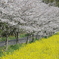 千葉県いすみ市札森 #2