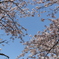 6CF7D3A8-0F9E-41D3-9178-99846199DF9D
