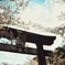 0A2E2670-80BA-4729-B6A9-15A7B971CA4B