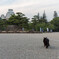 世界遺産とねこ