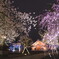 富山県護国神社