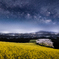 The Galaxy