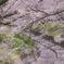 袋川