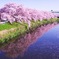 清洲城②