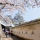 Himeji castle 