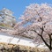 Himeji castle 