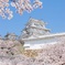 Himeji castle 