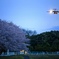 日暮れ時の帰還