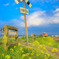 「STOP」