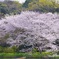 三渓園にて