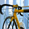 COLNAGO