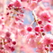 ぼかし桜（笑）