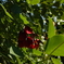 11FC2363