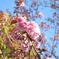 公園で1