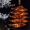 薬師堂の桜と五重塔