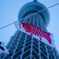 金魚のぼり