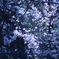 5B2E3240-2EF6-4892-91FD-038BFA348855