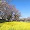 上堰潟公園３