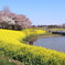 上堰潟公園５